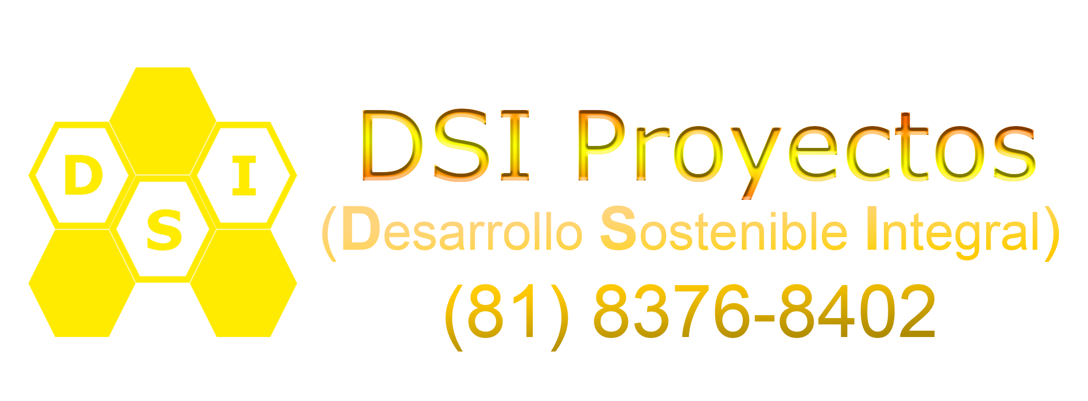 DSI PROYECTOS
